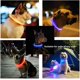 thumbnail image 3 of Collares luminosos LED para perros, recargables por USB, impermeables, luminosos para mascotas, pueden mejorar la visibilidad y la seguridad de las mascotas, 2 uds. JM, 3 of 5
