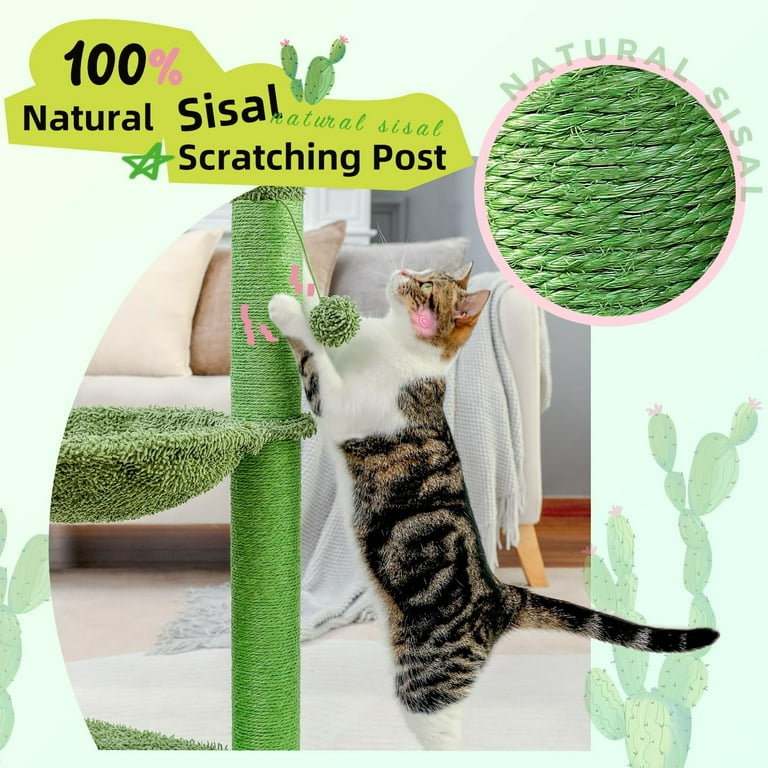 Pawz Road Aesthetic Adult Cactus Cat Scratching Post, 33