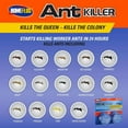 Home Plus Ant Killer, Metal Ant Bait, Ants Killer for House, Pet Safe