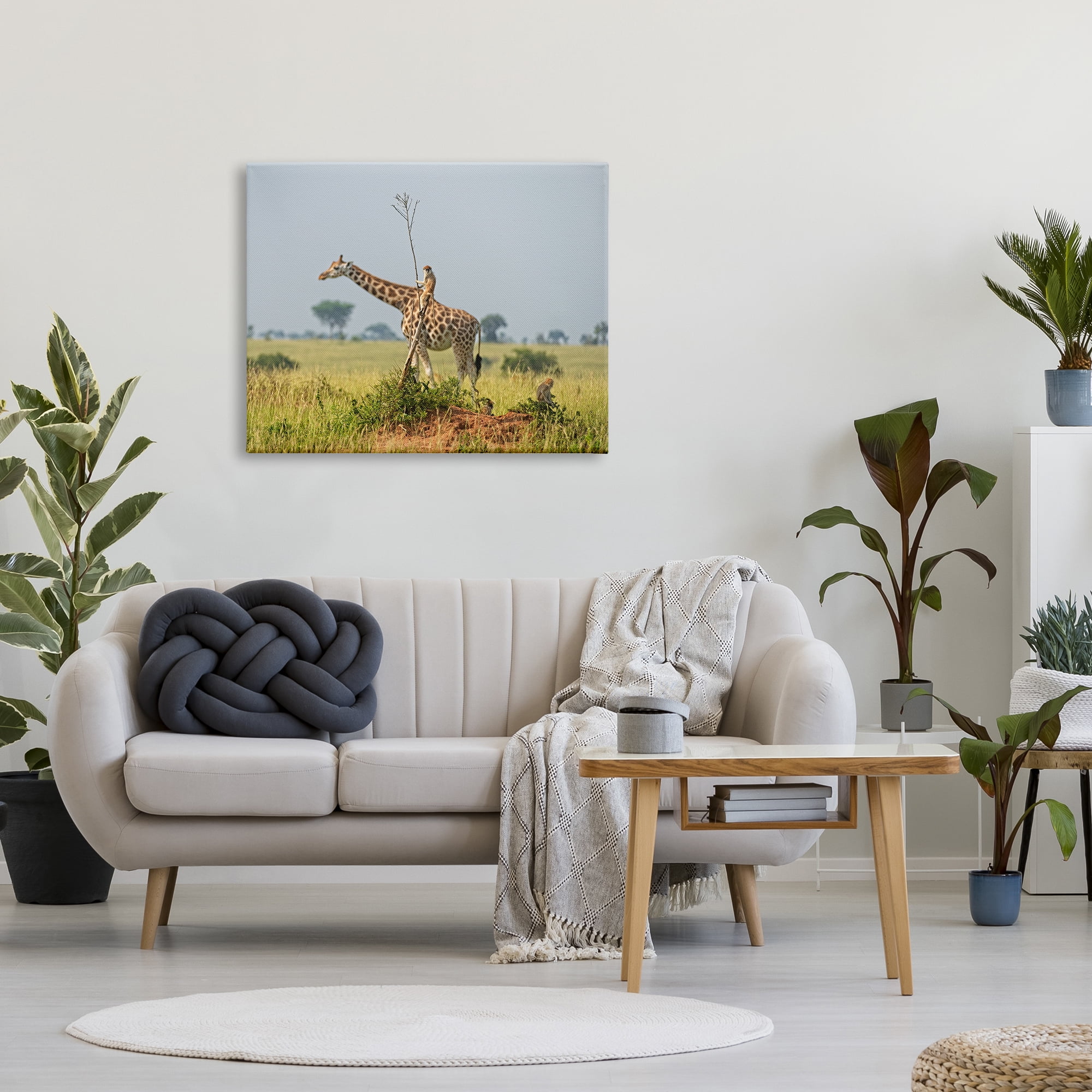 Stupell Industries Monkey Riding Giraffe Animals & Insects Photography Gallery Wrapped Canvas Art Print Wall Art, 40 x 30
