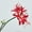 Rose Red, variant on 3 Pcs Red Spider Lilies Artificial Flowers Lycoris Bulbs with Stem for Home Office Hotel Living Room Decoration,26 inch Long