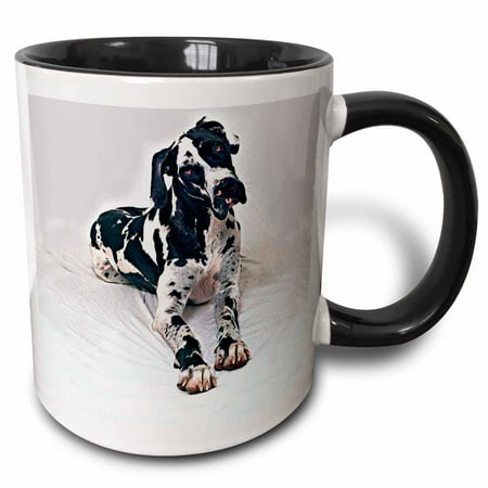 

3dRose Great Dane - Two Tone Black Mug 11-ounce
