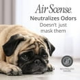 thumbnail image 5 of Air Scense Deodorizing Room Spray, Lime, 7 fl oz, 1 Count, 1 Pack, 5 of 7