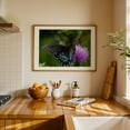 thumbnail image 4 of Black Swallowtail Butterfly on Thistle - Virginia Photography Butterfly Flowers Insect Wildlife Nature Scenic Garden Unframed Wall Art Print 20 x 28 inches, 4 of 12