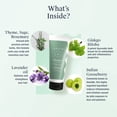 thumbnail image 2 of Arata Natural Hydrating Hair Shampoo (75 Ml) | With Ginkgo, Ginger & Indian Gooseberry For Women & Men | All Natural,Vegan & Cruelty Free | Moisturizes & Repairs Damaged, 2 of 5