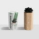 thumbnail image 5 of AeroPress Clear Green Coffee Press – Método de preparación 3 en 1 que combina prensa francesa, estilo espresso, café con cuerpo sin arena ni amargura, pequeña cafetera portátil para acampar y viajar,, 5 of 5