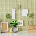 thumbnail image 7 of NSESSHome Self Watering Plant Pots, Clear Self Watering Planter with Deep Reservoir, Plastic Flower Pots for All House Plants, Flowers, 7 of 7