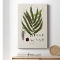 thumbnail image 6 of Botanical Society Ferns II Premium Gallery Wrapped Canvas - Ready to Hang, 6 of 9