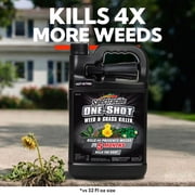 Spectracide One Shot Weed & Grass Killer Ready-to-Use Spray, 1 Gallon