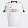 thumbnail image 3 of Playera House Of Tiro Nations Pack Iw8867 adidas, 3 of 7