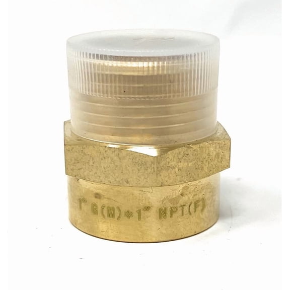 Cascada G Thread (British BSPP) to NPT Thread Pipe Fitting Adapter - Lead-Free (Male x Female, 1"G Male x 1"NPT Female)