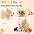 thumbnail image 3 of Perro Skylety de peluche con bebés en su interior para niños Corgi, 3 of 7
