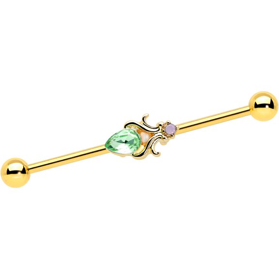Body Candy Womens 14G Stainless Steel Helix Cartilage Earring Bright Shades of Spring Industrial Barbell 1 1/2"