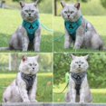 thumbnail image 3 of No Pull Dog Harness and Leash Set Adjustable Pet Harness Vest For Small Dogs Cats Reflective Mesh Dog Chest Strap French Bulldog, 3 of 5
