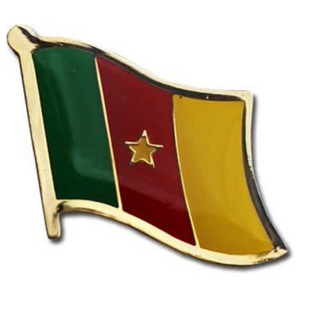 Cameroon Flag Lapel Hat Pin FAST USA SHIPPING