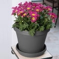 thumbnail image 3 of Plato para plantas Bloem STT08908, 6.5 a 8 pulgadas, gris antracita, 3 of 5