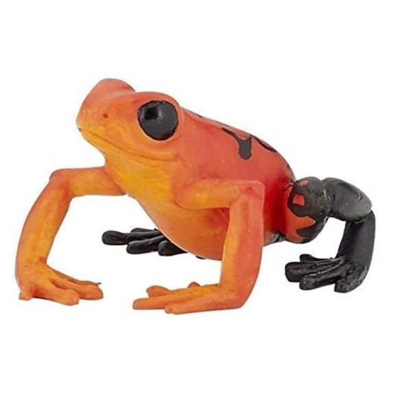 Equatorial Red Frog