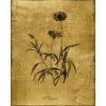 thumbnail image 3 of Donovan, Kelly 20x24 Black Modern Framed Museum Art Print Titled - Gold Sketch Botanical I, 3 of 5