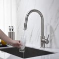 thumbnail image 2 of Blossom Pull Down Single Handle Kitchen Faucet, 2 of 10