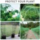 thumbnail image 4 of Red antiaves, red de jardín que no se enreda, valla reutilizable para proteger frutas y verduras de pájaros, ciervos. Ormromra 2034074-1, 4 of 8