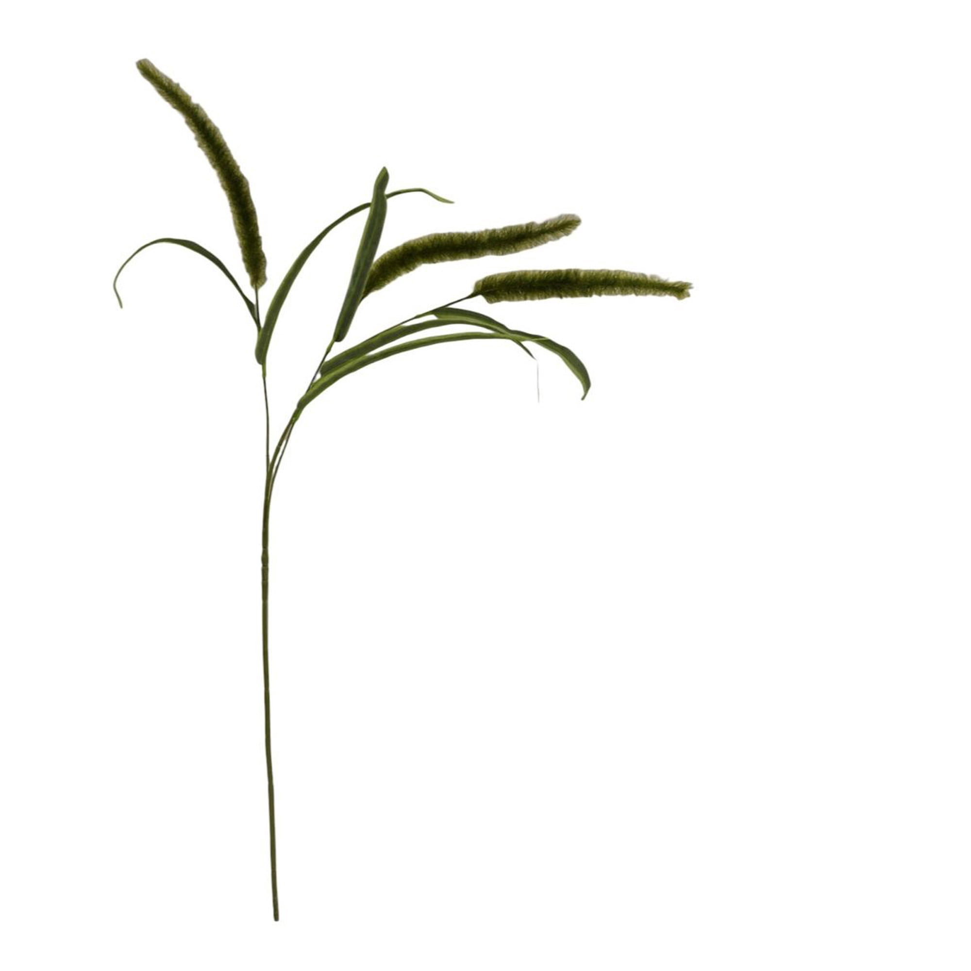 Mainstays 36" Artificial Green Dogtail Stem, Set of 12, Indoor Use