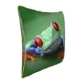 thumbnail image 2 of Fotbe Red-Eyed Tree Frog-1 Pattern Velvet Decorative Throw Pillow Covers with Elegant Piping, Soft Plush Cushion Cover for Sofa, Bed, Car, Office-20"x20", 2 of 8