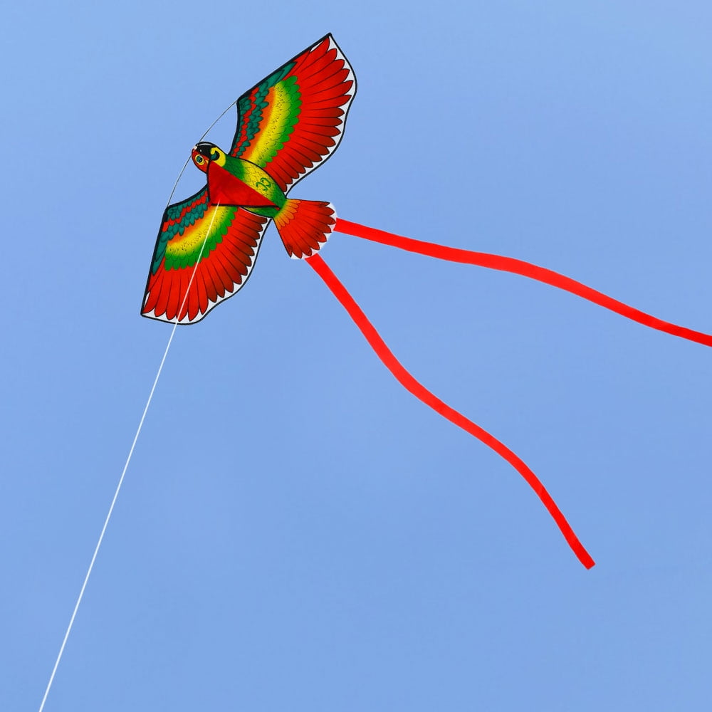 Adifare Parrot Kite, Flying 3D Cartoon Parrot Kite, Parrot Design Outdoor  Toy Flying Kite Kid Adult Children Kite Flying Toy, Beginner Kite, Beach  Toy 
