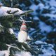 thumbnail image 5 of Adornos navideños para el árbol de Navidad: Anciano de punto sin rostro, muñecos pequeños sin rostro, colgantes navideños para hombre y mujer., 5 of 6