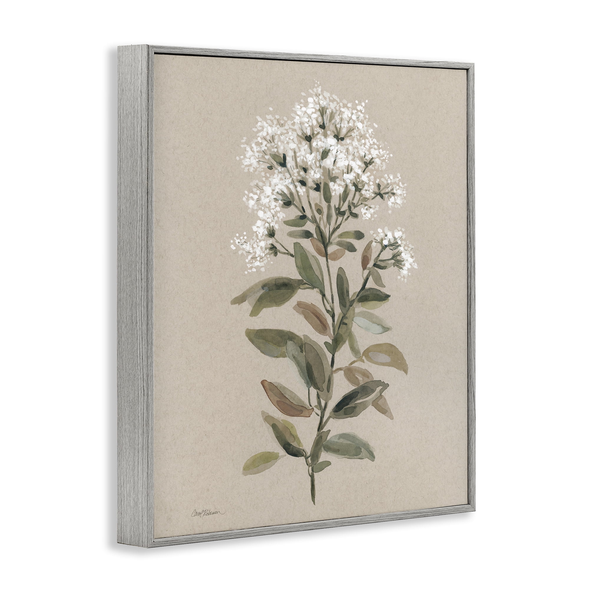 Stupell Industries Blooming Watercolor Flower Botanical & Floral Painting Gray Framed Art Print Wall Art, 16 x 20