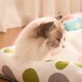 thumbnail image 4 of Cama autorefrescante de verano para perros y gatos, sofá cama duradero para perros y gatos, acogedora y fresca cama de ratán para cachorros y gatos con base antideslizante., 4 of 6