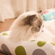 thumbnail image 4 of Cama para perros con autoenfriamiento para mascotas de verano, sofá cama duradero para perros y gatos, cama de ratán fresca y acogedora para cachorros y gatos con base antideslizante, 4 of 6
