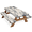 Multicolor 2, variant on ADECORIVY Dragonfly Bamboos Picnic Table Cover with Bench Covers, Waterproof Camping Table Cover with Elastic Edges, Fitted Tablecloth Outdoor Essentials 72 Inch