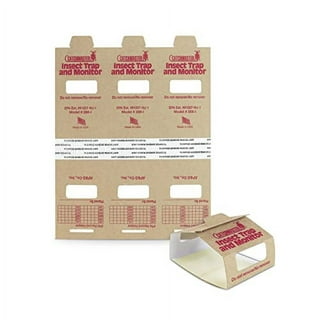 Spider Glue Trap – 20 Pack | Sticky Spider Bait Trap, Monitor, Killer – EcoPest Supply
