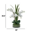 thumbnail image 2 of 29.5" White Orchid Arrangement in a Glass Vase| Real Touch White Moth Phalaenopsis Orchids by Fiori Sempre, 2 of 7