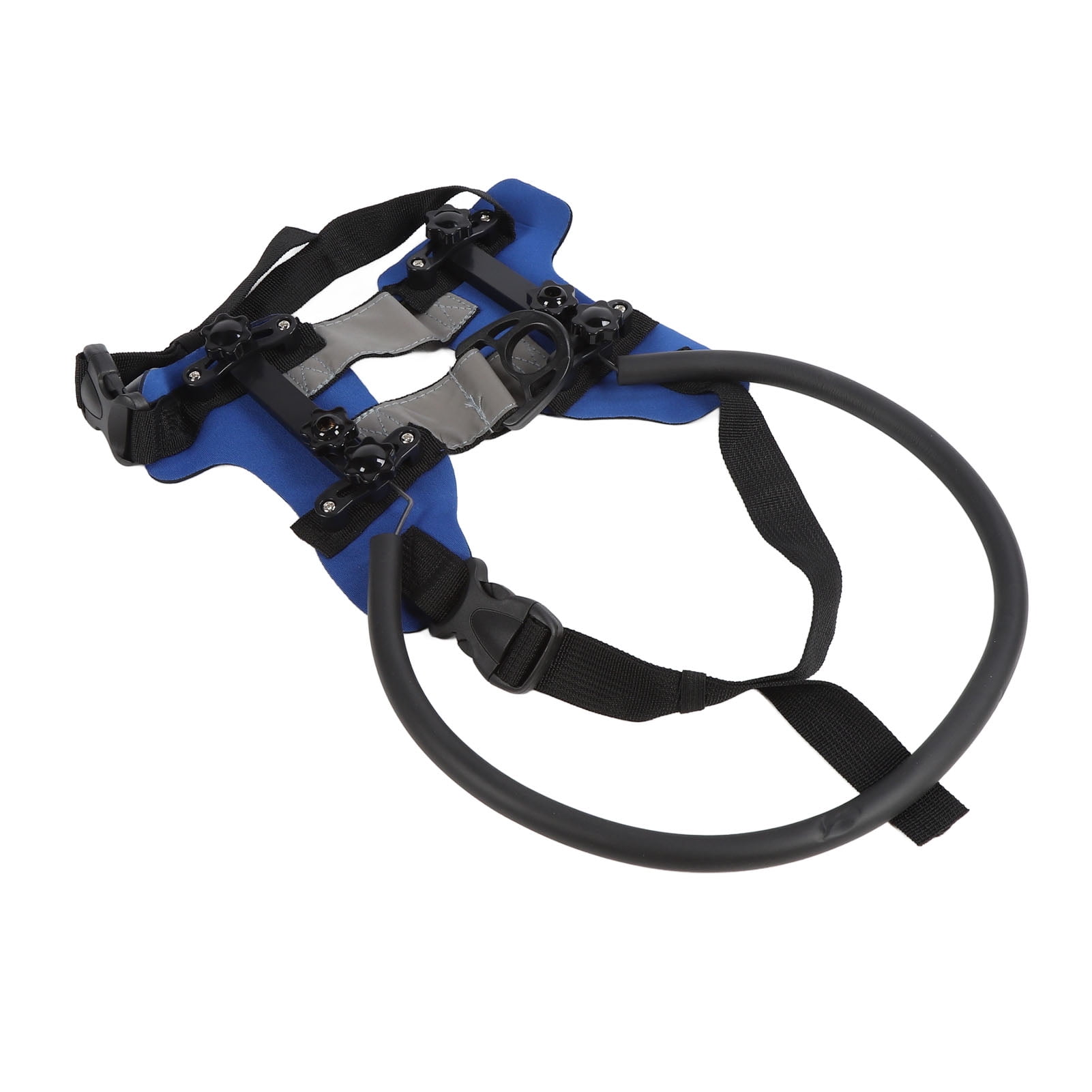 Blind dog head protection hotsell