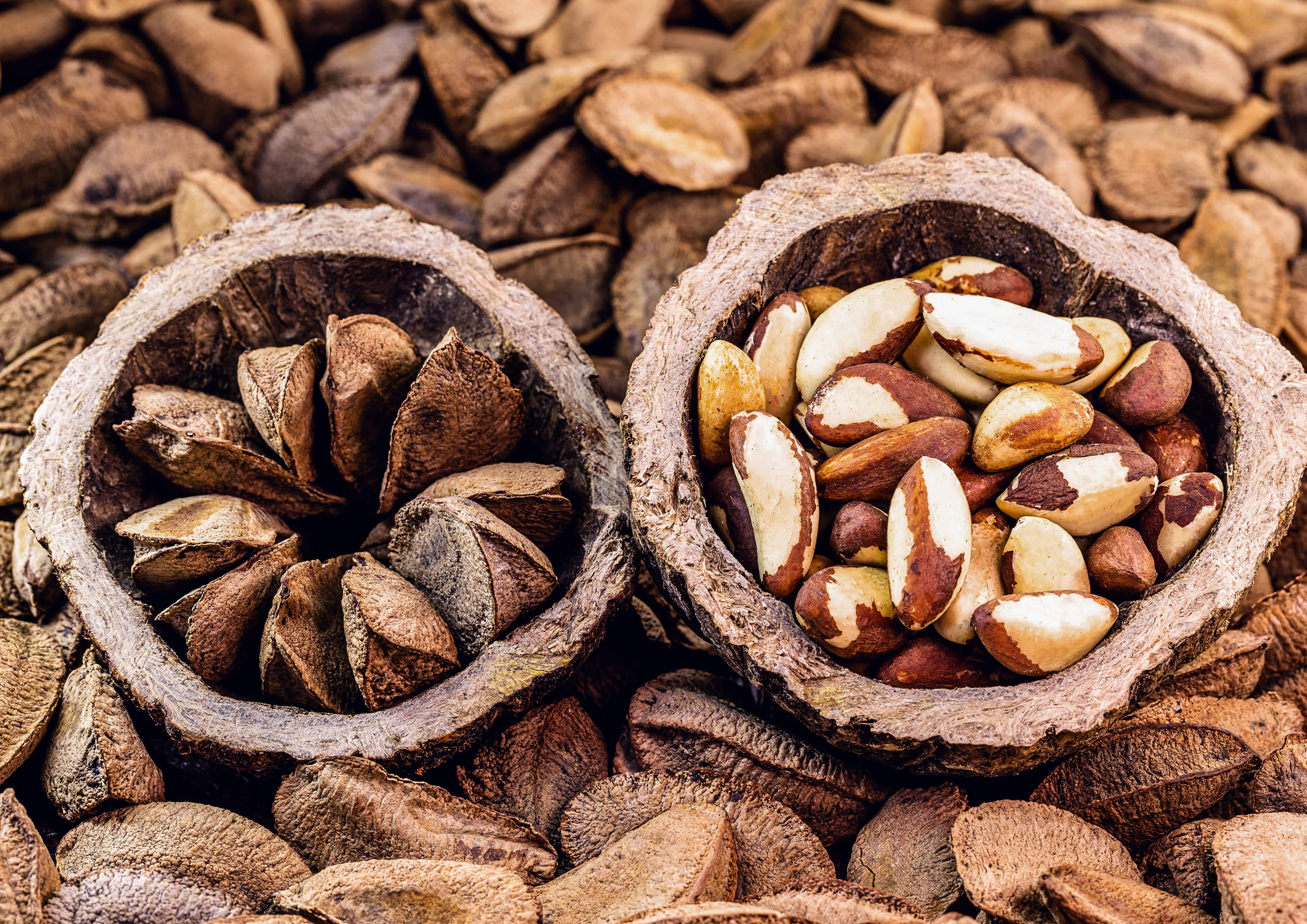 Dry Roasted Brazil Nuts with Himalayan Salt, 8 Pounds — Kosher, Vegan — by Food to Live