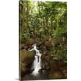 thumbnail image 1 of Great BIG Canvas | "Stream Running Through The Rainforest Near Hilo, Big Island, Hawaii" Canvas Wall Art - 16x24, 1 of 2