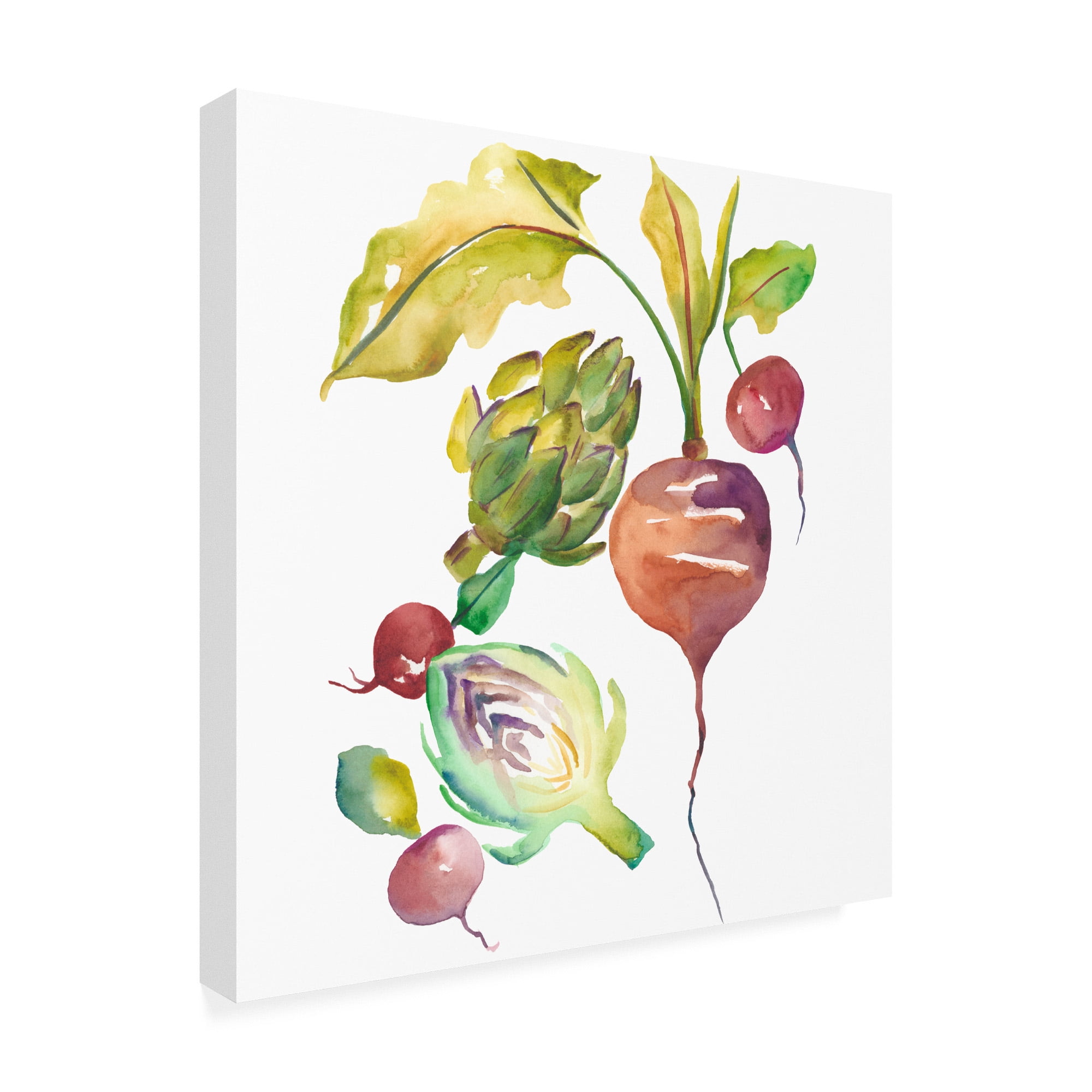 Trademark Fine Art 'Harvest Medley VI' Canvas Art by Chariklia Zarris