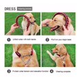 thumbnail image 4 of FrostHike Dog Lead Leash Double Strand Rope Large Metal Chain Buckle Pet Pull Rope Collar For Dog Leash Lead Walking Running, (Blue), 4 of 5