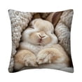thumbnail image 2 of Rijanmt Easter Realistic Fluffy Bunny Comfort Pillow Case,Easter Throw Pillow Case With Flower Bunny And Eggs,Pillowcase Square Cushion Covers For Sofa Bed Couch,Spring Home Decor,17.71*17.71",A, 2 of 6