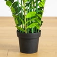 thumbnail image 5 of Nearly Natural 5ft. Artificial Zamioculcas Plant, 5 of 7