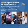 thumbnail image 2 of Manta pesada LaSyl Thunder para perros con ansiedad, 6 libras, 2 of 7