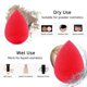 thumbnail image 4 of 5 Pcs Makeup Sponge Set, Foundation Blending Beauty Sponge, Flawless for Liquid, Cream, and Powder, Multi-colored Makeup Sponges, 4 of 4