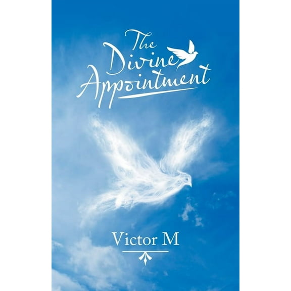 The Divine Appointment (Paperback)