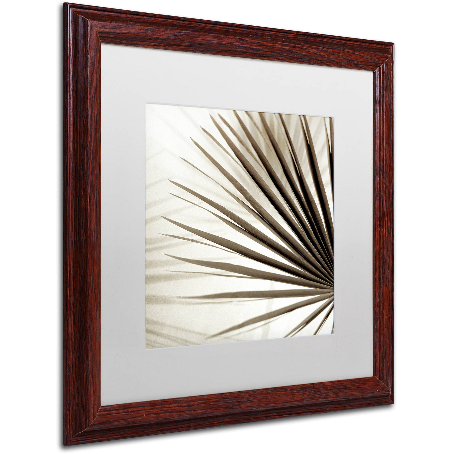Trademark Fine Art "Florison 66" Canvas Art by Alan Blaustein, White Matte, Wood Frame