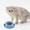 Blue, variant on Cat Bowl, Shallow Cat Food Dish, Cat Bowl Pet Food Bowls Water Feeding Plastic Basins, Wide Pet Food Plate for Kittens. Pink