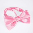 thumbnail image 3 of GFDYREE 12 Pcs Petit Nœud Papillon Formel Ajustable Pré-Noué pour Hommes par avant Men, 3 of 7