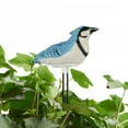 thumbnail image 5 of Watering Alarm Bird Soil Meter—Plant Water Tester Hygrometer Sensor Gardening Tool Kit For Pot Plant, 5 of 5