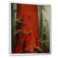 thumbnail image 2 of Designart "Resonating Redwood In Wilderness" Tree Redwood Floater Framed Wall Art Living Room, 2 of 5