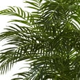 thumbnail image 3 of Nearly Natural 6.5ft. Areca Palm Tree (Indoor/Outdoor) Plastic Artificial Plant, Green, 3 of 6